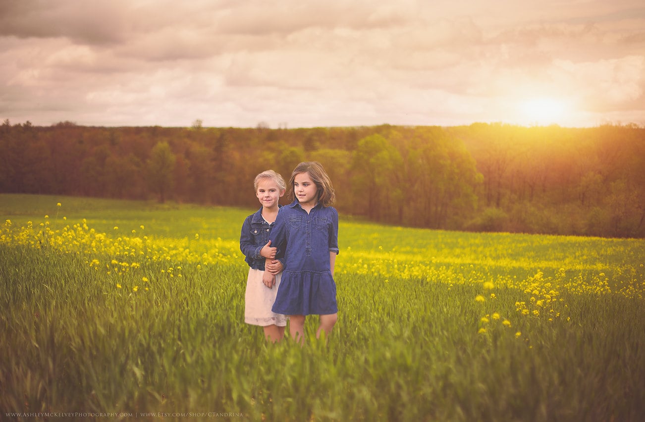 Yellow Flower Field Digital Backdrop, Sunset Digital Background, Spring Sunset, Dreamy Digital Backgrounds for Photoshop!