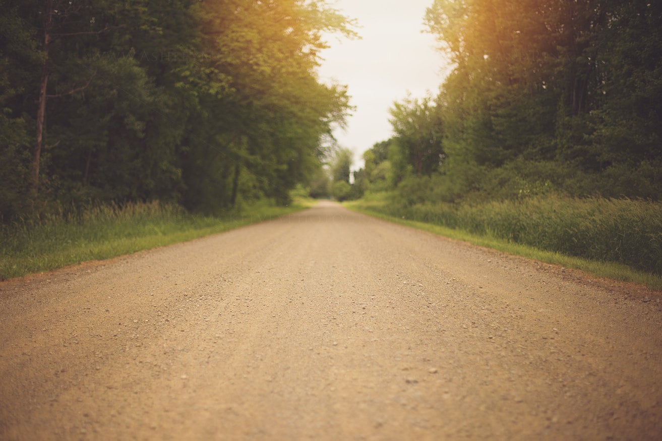 Dirt Road Digital Backdrop, Sunset Country Road, Golden Light Backroad Digital Background, Digital Backdrops for Photoshop!