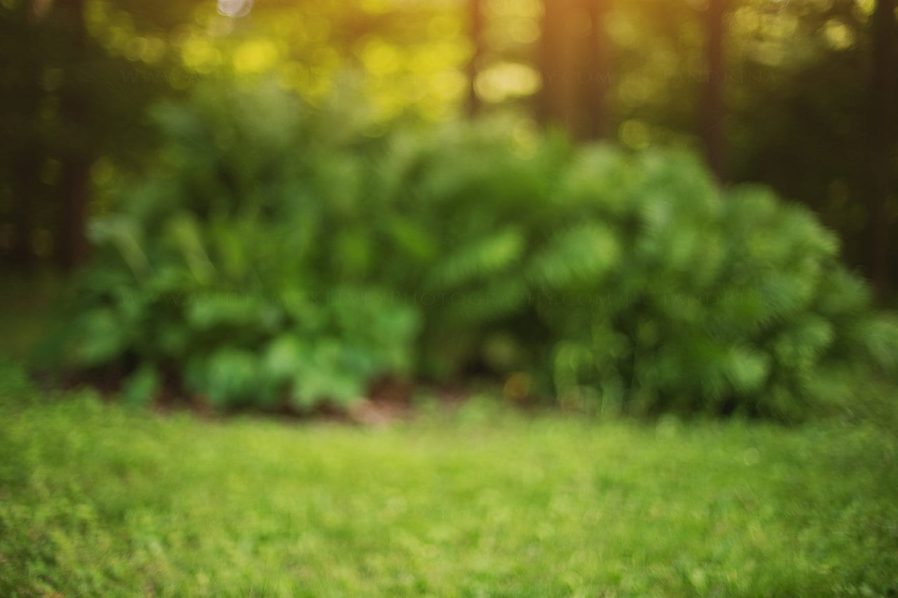 Digital Backdrop, Summer Green with Light Leak, Bokeh Background, Child Backdrop, Digital Backdrops for Photoshop!