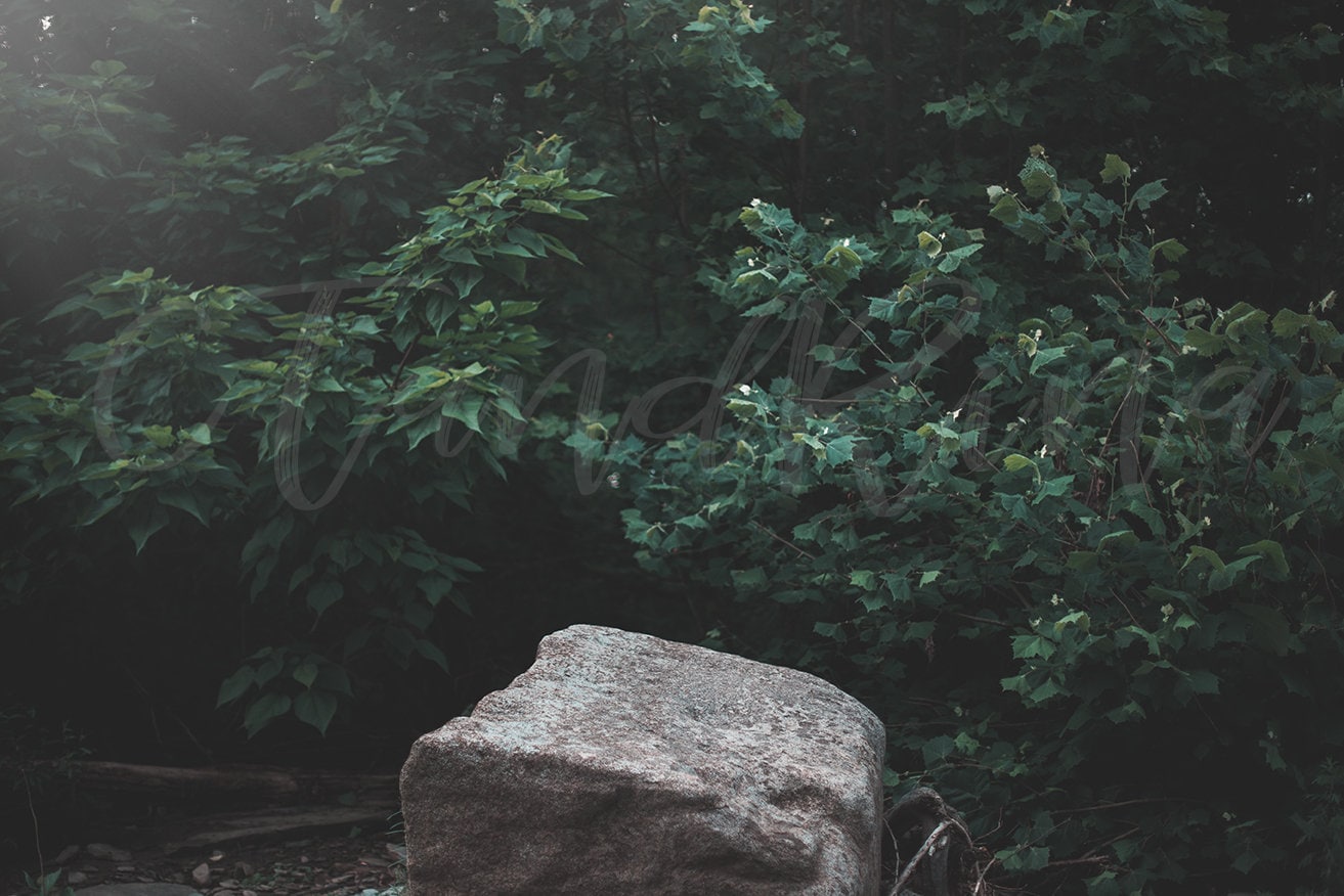 Digital Background, Rock Poser Digital Backdrop, Giant Rock with Leaves, Light Leak with Posing Rock, Digital Backdrops for Photoshop!