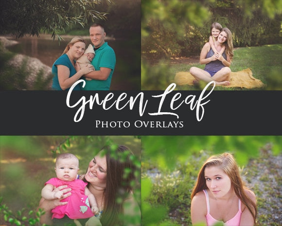 Cover photo of four different images containing the usage of Green Leaf Photo Overlays as examples of what to expect when applying this digital product.