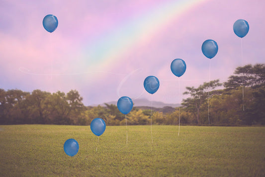 Magic Stepping Balloons Digital Backdrop, Magical Backgrounds, Rainbow Backdrop, Mountain Field, Digital Backdrops for Photoshop!