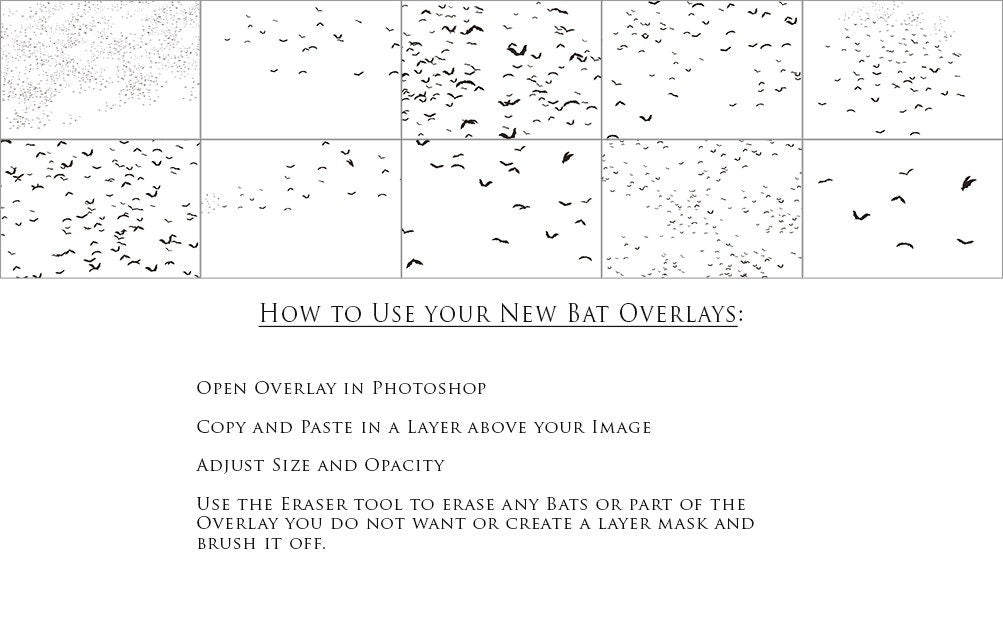 Bat Overlays, Flying Bats Overlay, Spooky Overlays, Overlays for Halloween, Realistic Bat Overlays for Photoshop!