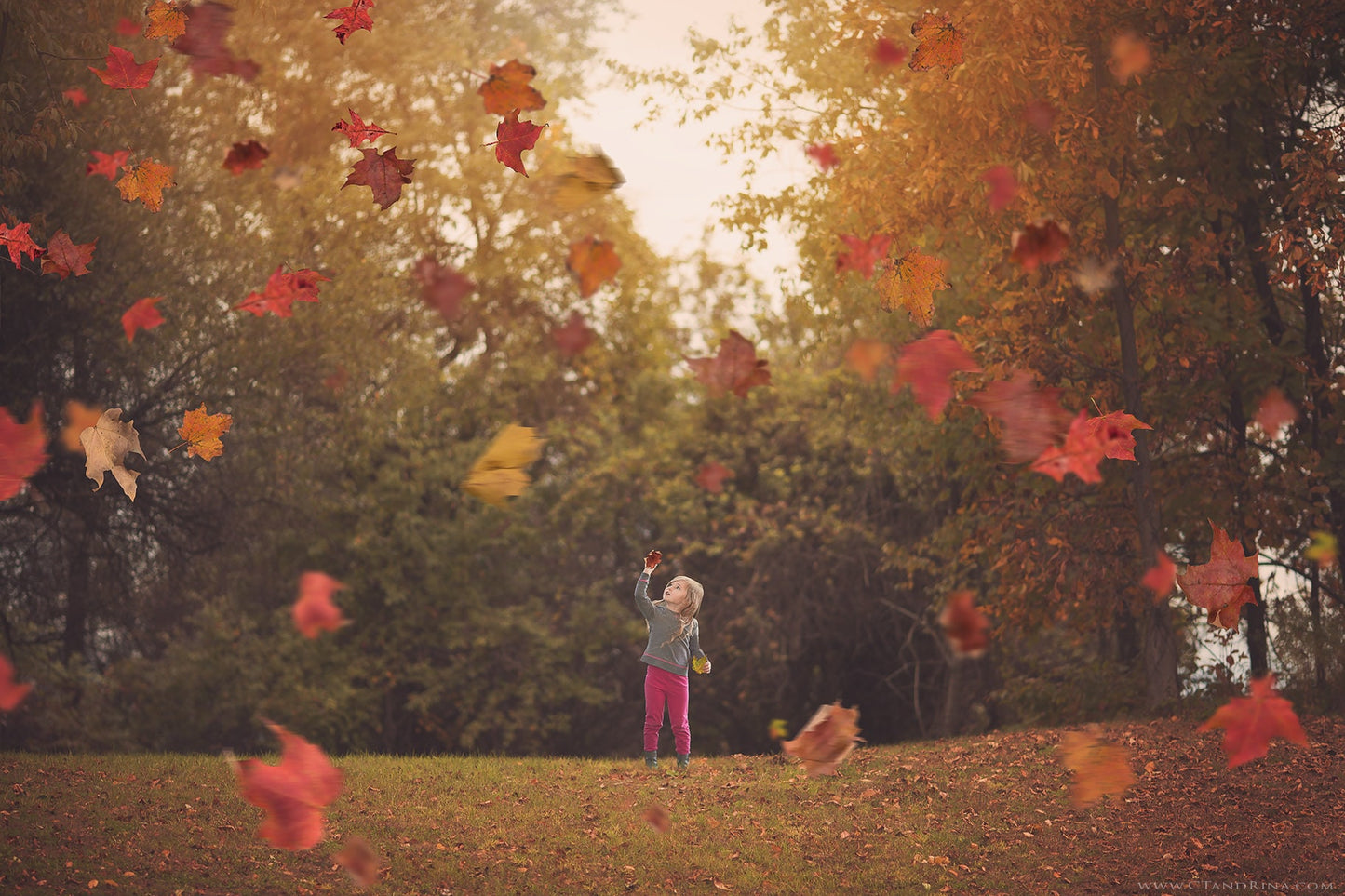 Fall Digital Backdrop with Falling Leaves, Autumn Digital Background, Flying Leaves Digital Backdrop, Digital Backdrops for Photoshop