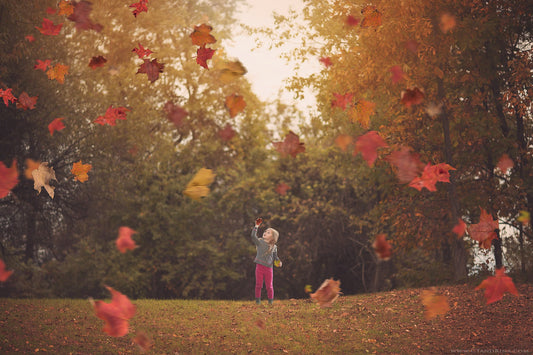 Fall Digital Backdrop with Falling Leaves, Autumn Digital Background, Flying Leaves Digital Backdrop, Digital Backdrops for Photoshop