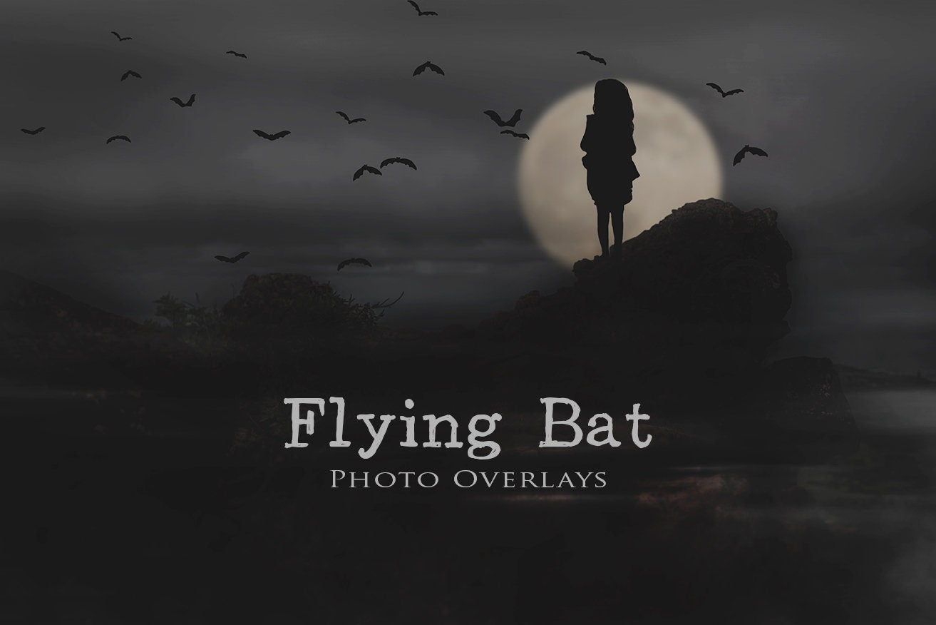 Bat Overlays, Flying Bats Overlay, Spooky Overlays, Overlays for Halloween, Realistic Bat Overlays for Photoshop!