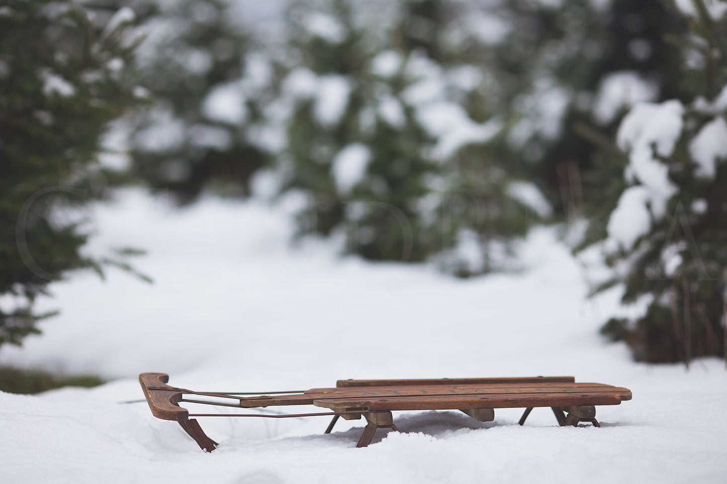 Sled with Snow Covered Trees Digital Backdrop, Winter Digital Background, Newborn Digital Backdrop, Christmas Digital Backdrop