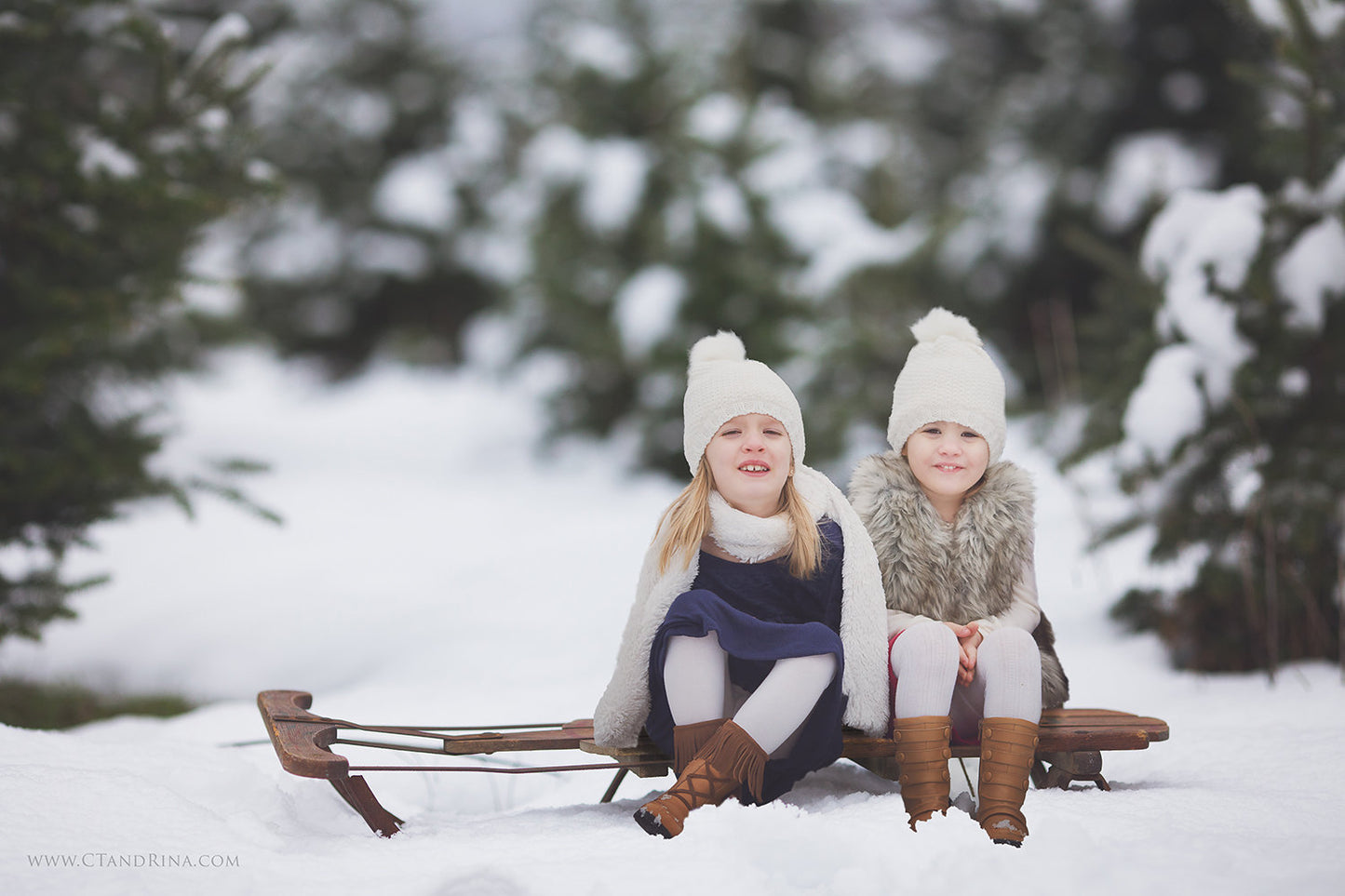 Sled with Snow Covered Trees Digital Backdrop, Winter Digital Background, Newborn Digital Backdrop, Christmas Digital Backdrop