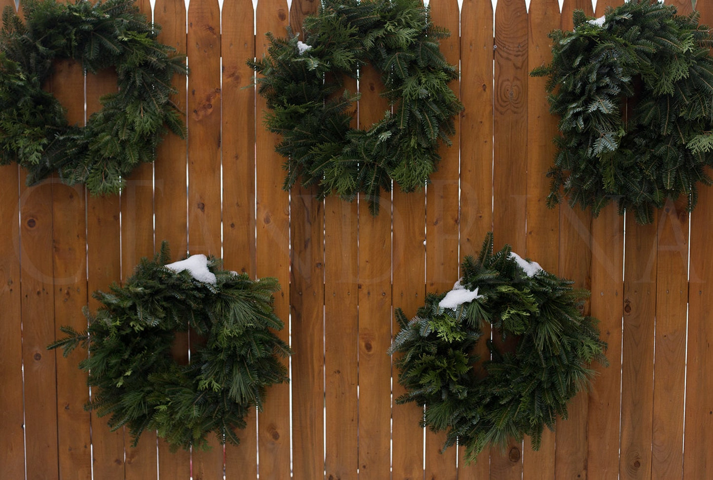 Wreaths Hanging on Fence Digital Backdrop, Christmas Digital Backdrop, Winter Digital Background, Christmas Mini Digital Backdrop - Set of 3