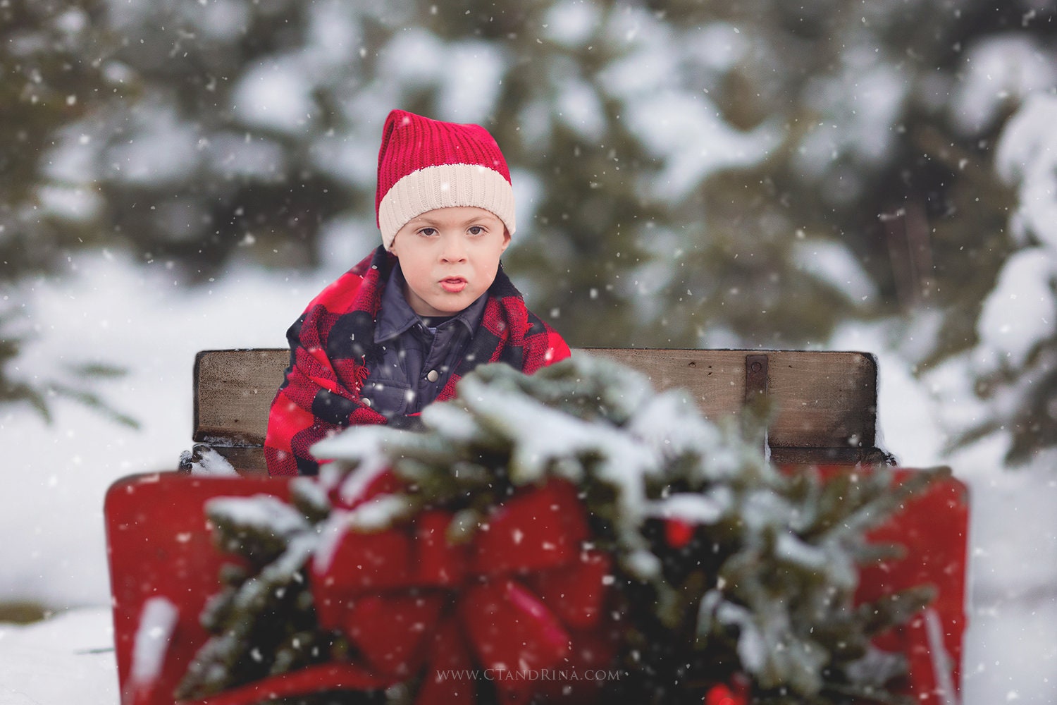 5 Santa Sleigh Digital Backdrops, Sleigh Digital Background, Christmas Sleigh, Decorated Sleigh Backdrop, Digital Backdrops for Photoshop