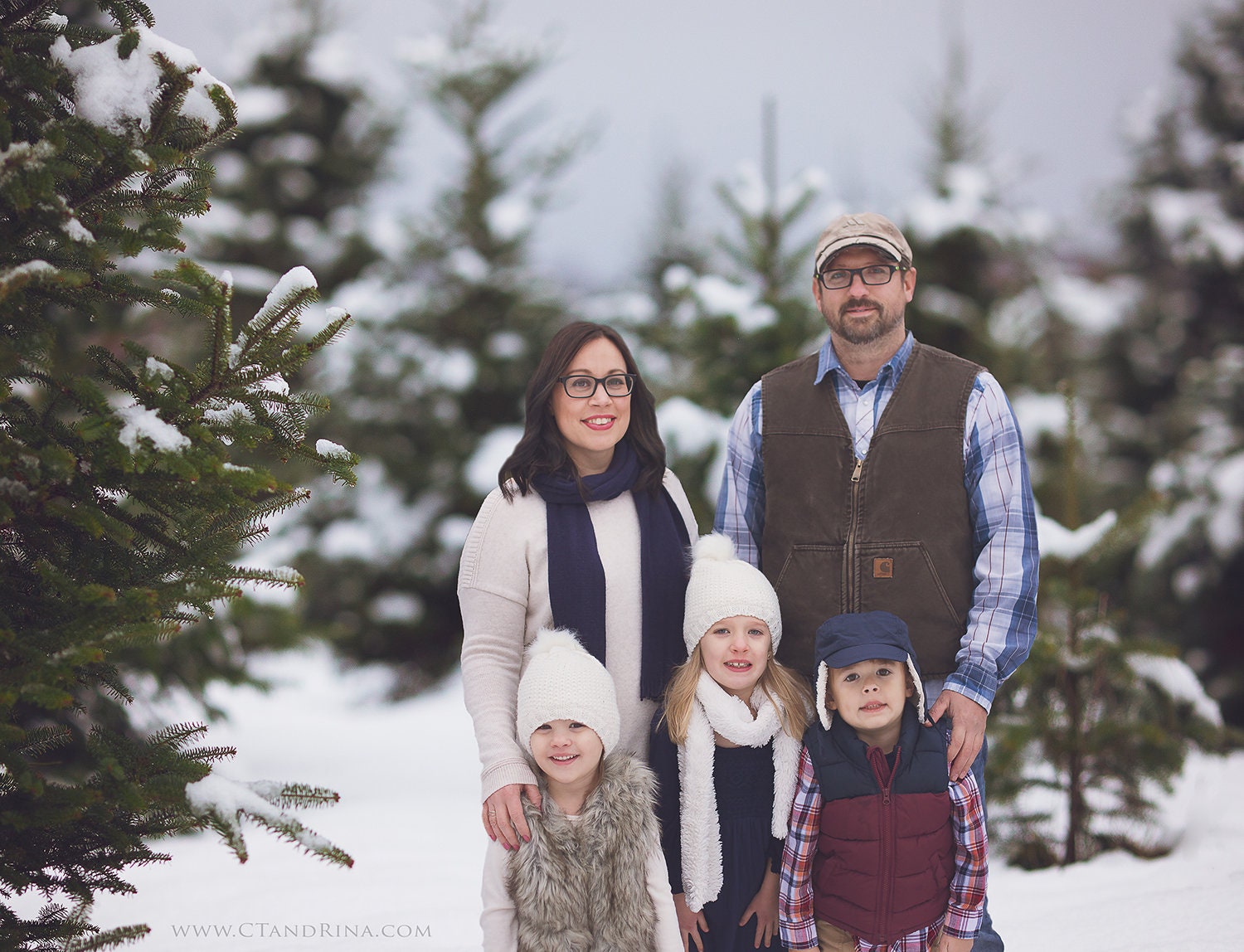 Snow Covered Pine Trees Digital Backdrop, Winter Digital Background, Snow on Trees, Snowy Christmas Trees, Digital Backdrops for Photoshop