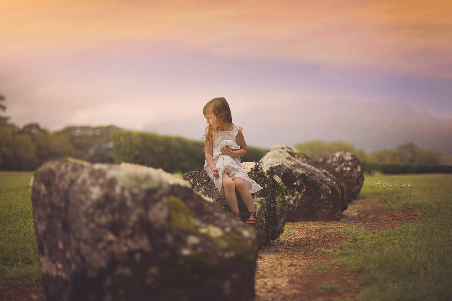 Dreamy Digital Backdrops, Field with Rocks, Sitting Rocks Digital Background, Hawaii Digital Background, Digital Backdrops for Photoshop