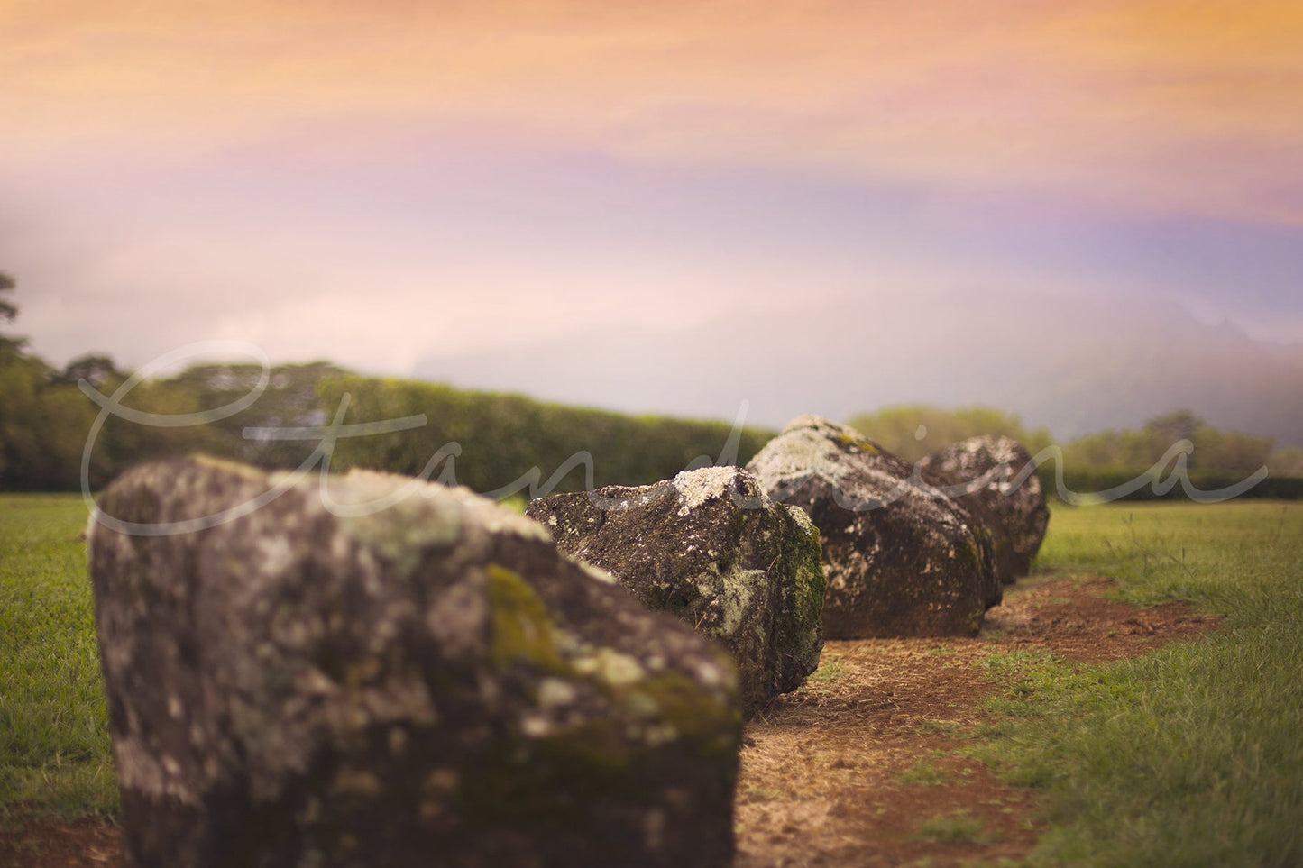 Dreamy Digital Backdrops, Field with Rocks, Sitting Rocks Digital Background, Hawaii Digital Background, Digital Backdrops for Photoshop