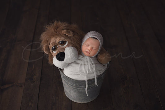 Newborn with Lion Digital Backdrop, Bucket Prop Digital Backdrop for Newborns, PNG Replace the Face Digital Backdrop for Photoshop