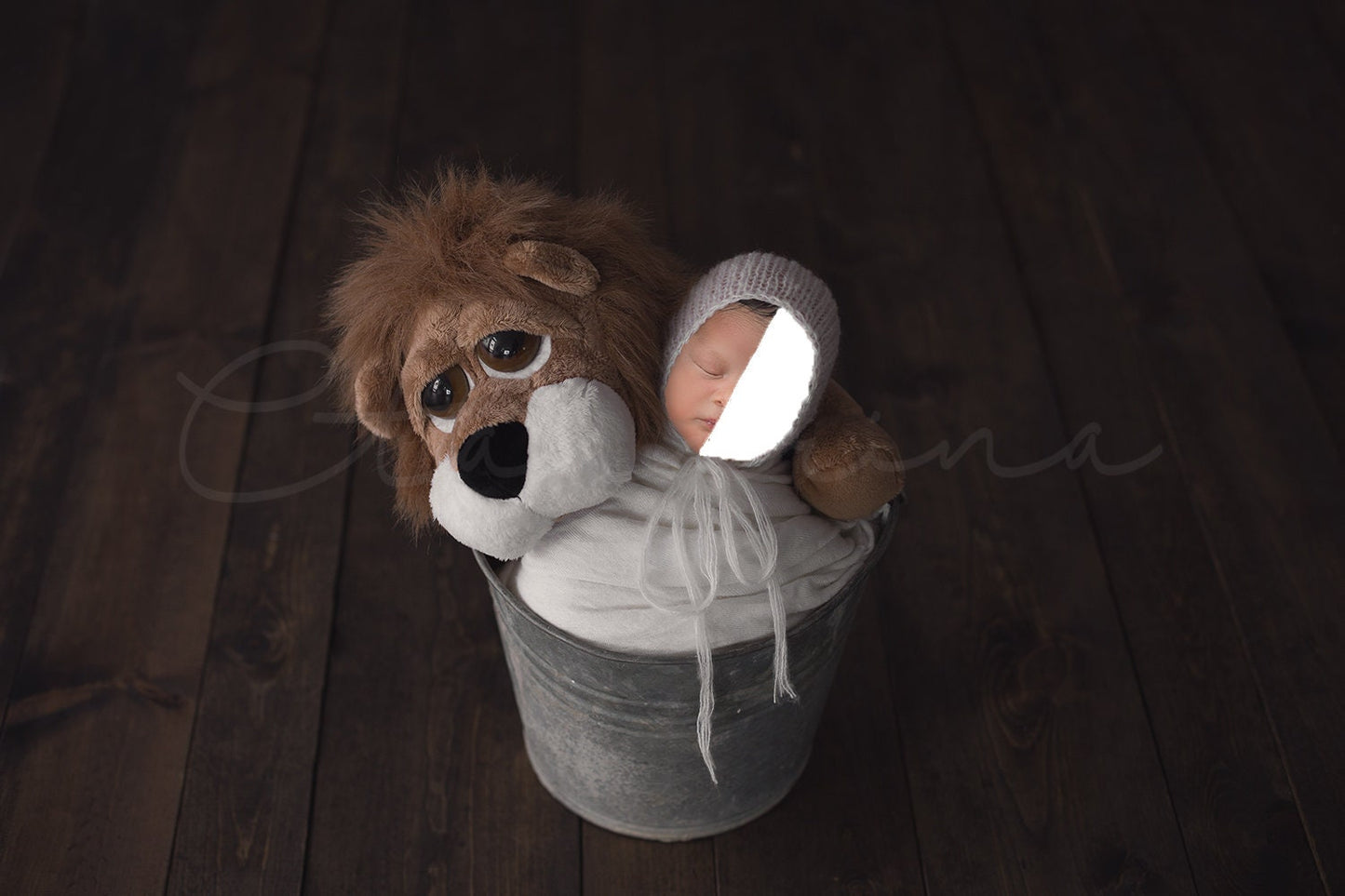 Newborn with Lion Digital Backdrop, Bucket Prop Digital Backdrop for Newborns, PNG Replace the Face Digital Backdrop for Photoshop