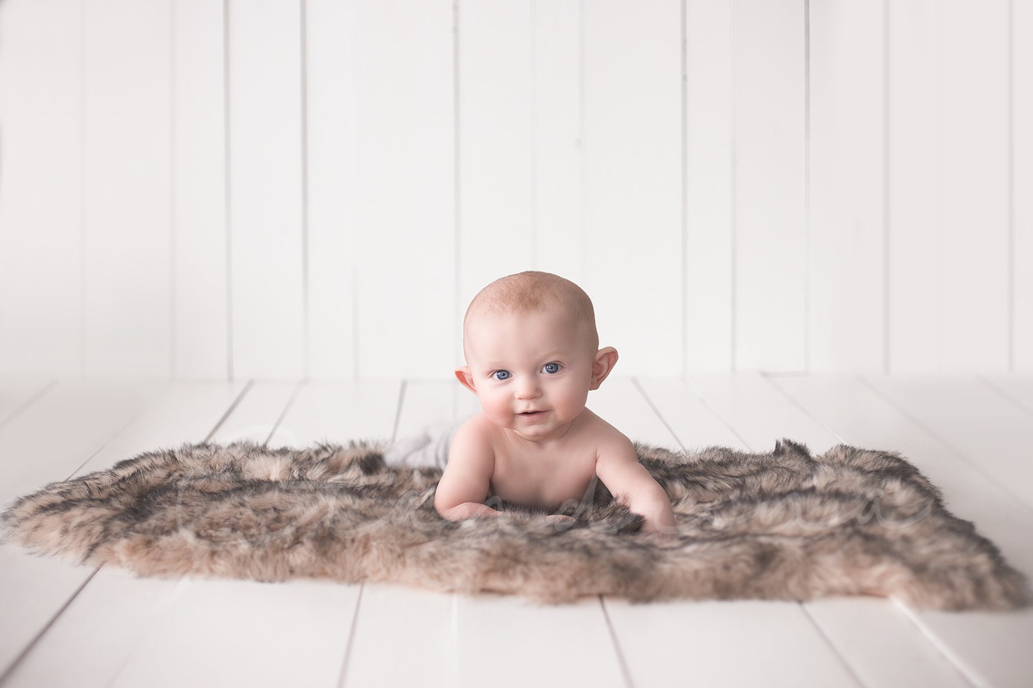 White Wood with Faux Wolf Fur Digital Backdrop, Sitter Session Digital Backdrop, Baby Boy Digital Background, Neutral Photoshop Backdrop