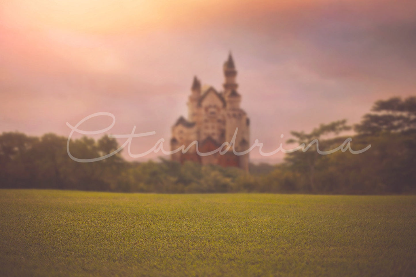 Dreamy Field with Castle Digital Backdrop, Princess Digital Background, Castle in the Distance, Magical Digital Backdrops for Photoshop