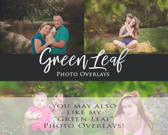 Digital Backdrop, Hanging Branch with Leaf Overlay, Creek Bokeh, Dreamy Background, Peeking through Leaves, Digital Backdrops for Photoshop