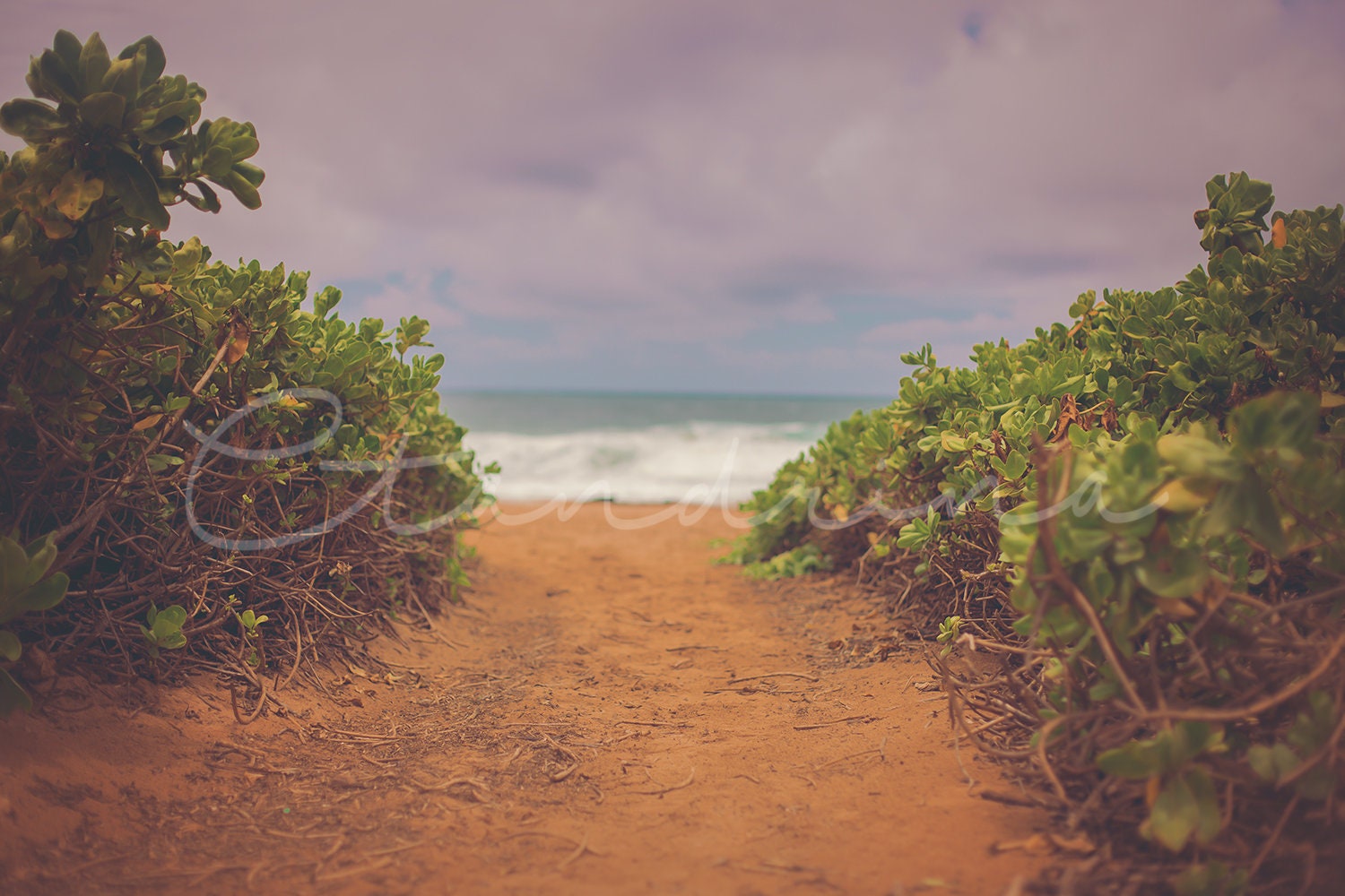 Sandy Ocean Path Digital Backdrop, Walkway to the Beach Digital Image, Beach Path Digital Background, Digital Backdrops for Photoshop