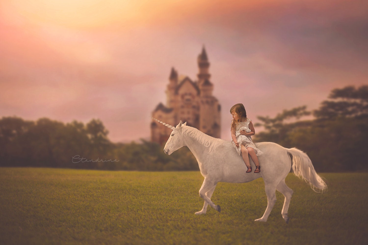 Dreamy Field with Castle Digital Backdrop, Princess Digital Background, Castle in the Distance, Magical Digital Backdrops for Photoshop