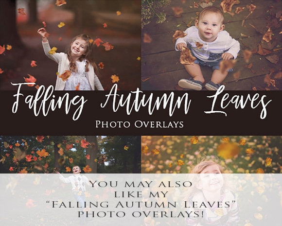 Fall Digital Backdrop with Falling Leaves, Autumn Digital Background, Flying Leaves Digital Backdrop, Digital Backdrops for Photoshop