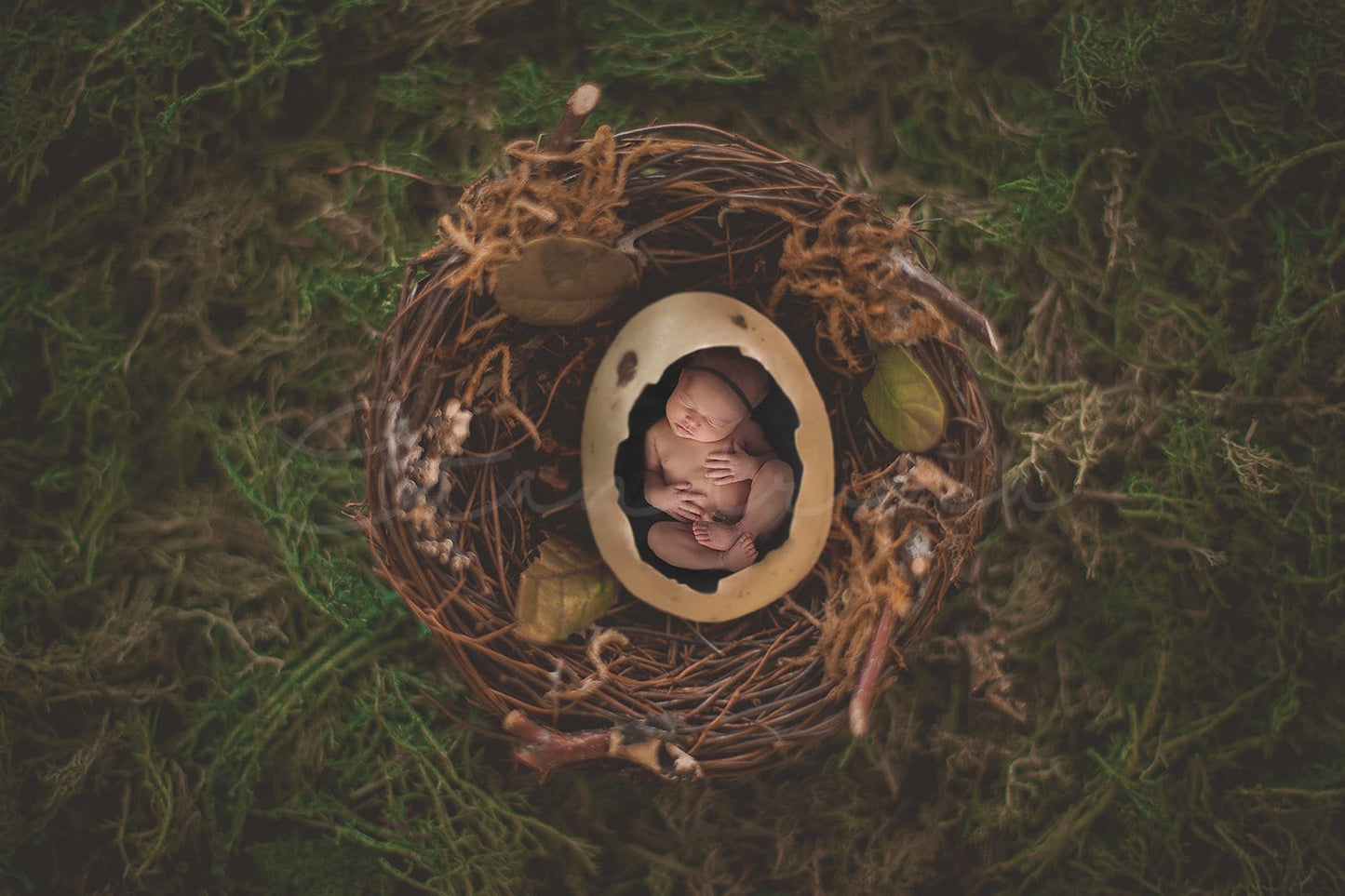 Nest Digital Backdrop, PNG Egg and Nest Newborn Digital Background, Bird Nest and Moss Digital Background, Backdrops for Photoshop, Set of 2