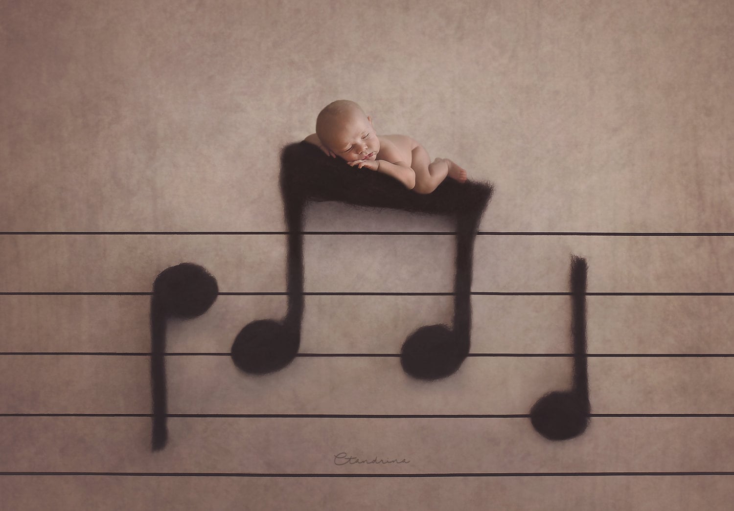 Newborn Digital Backdrop, Music Note Newborn Background, Music Staff with Felt Notes Image, Musical Newborn Digital Backdrop for Photoshop