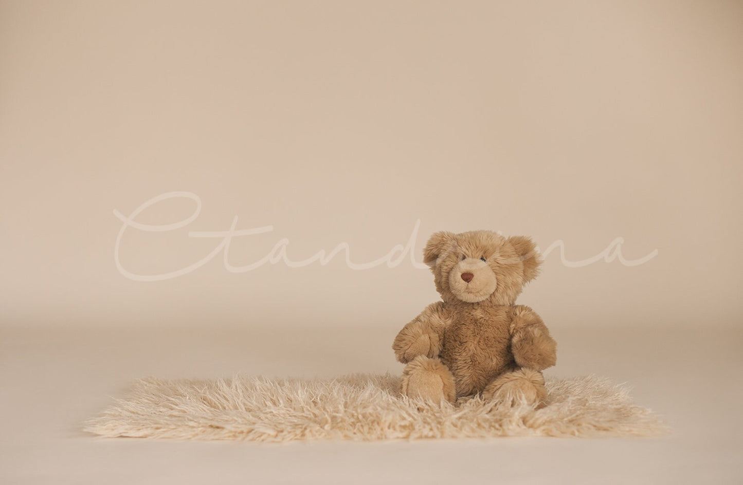 Sitting with Teddy Digital Baby Backdrop, Backdrop for Babies, Milestones Backdrop, Sitter Session Background, Backdrops for Photoshop