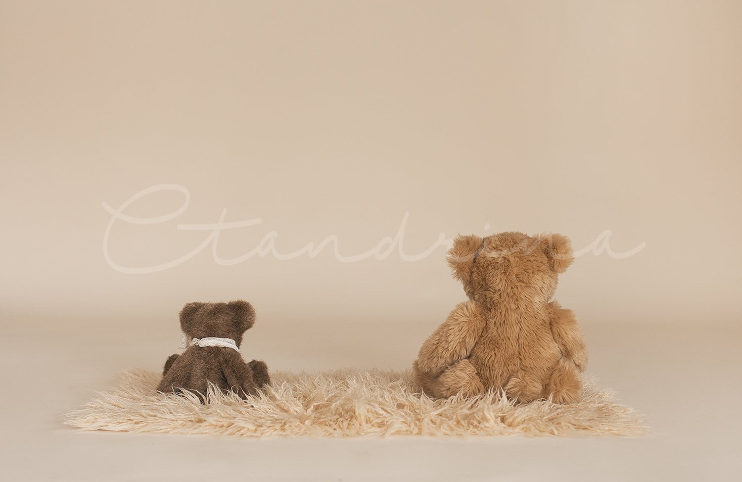 Teddy Bear Bums Digital Backdrop, Backwards Teddy Bears for Baby Photos, Sitter Session Backdrop, Teddy Backdrop, Backdrops for Photoshop