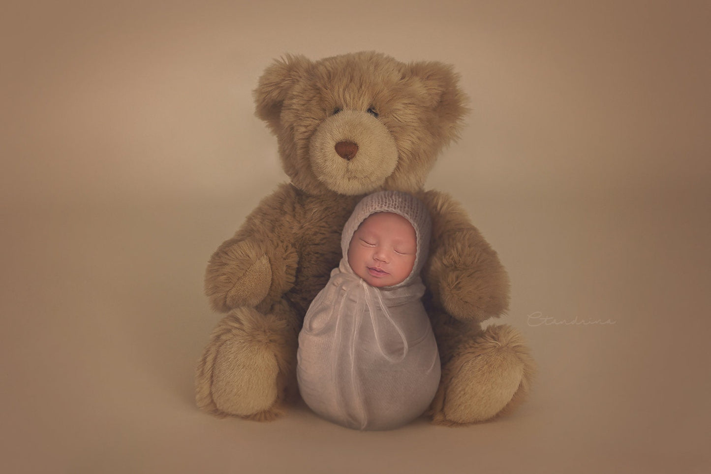 Big Teddy Bear Newborn Digital Backdrop, Teddy Baby Poser, Brown Teddy Bear on Tan Background Newborn Digital Backdrop for Photoshop