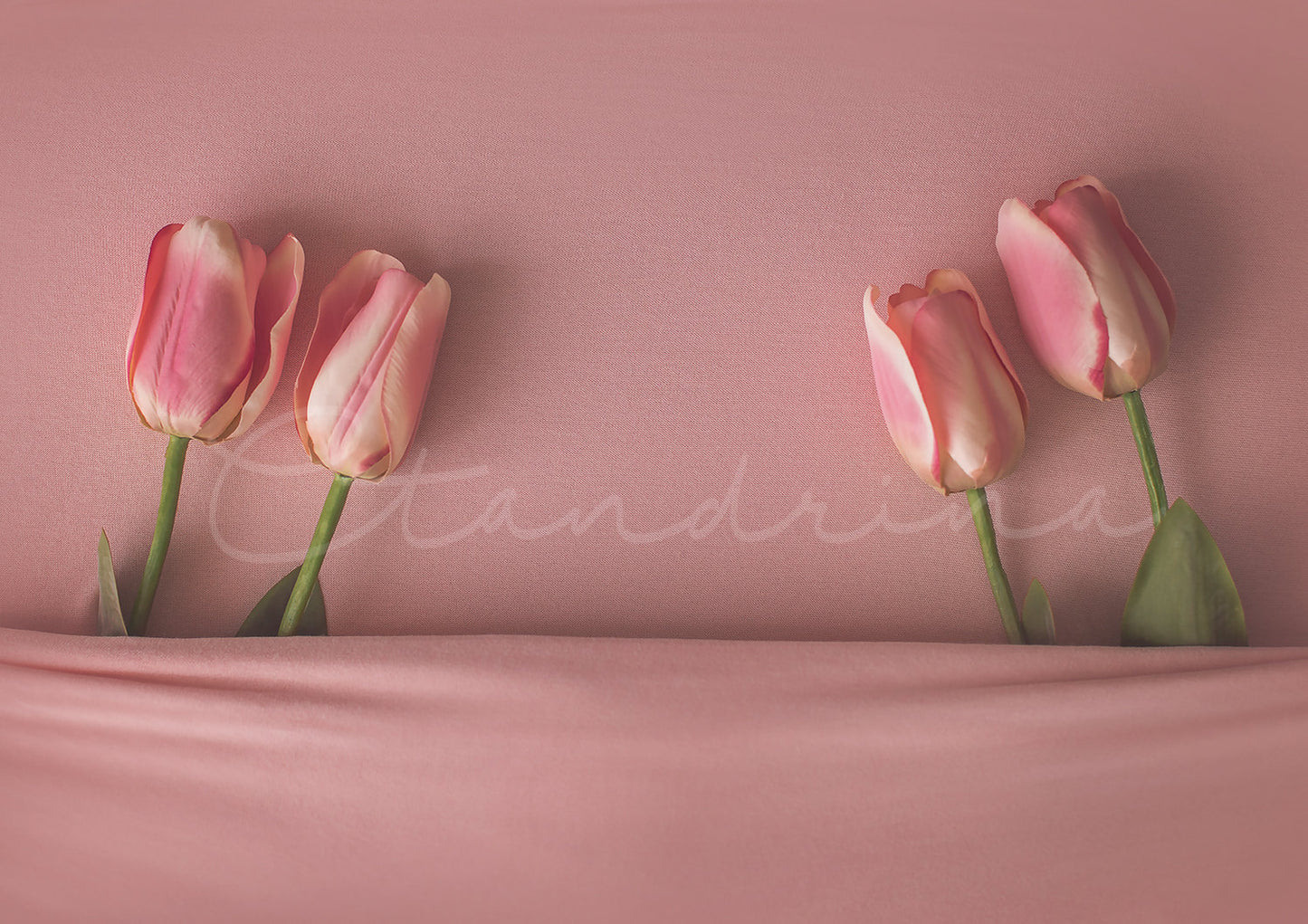 Baby Under Covers with Tulips Newborn Digital Backdrop, Floral Newborn Backdrop, Pretty Spring Newborn Digital Backdrops for Photoshop