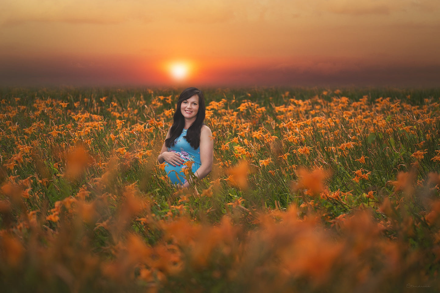 Wildflower Field Digital Backdrop, Orange Wildflowers with Sunset, Field of Flowers, Dreamy Summer Backdrops for Photoshop