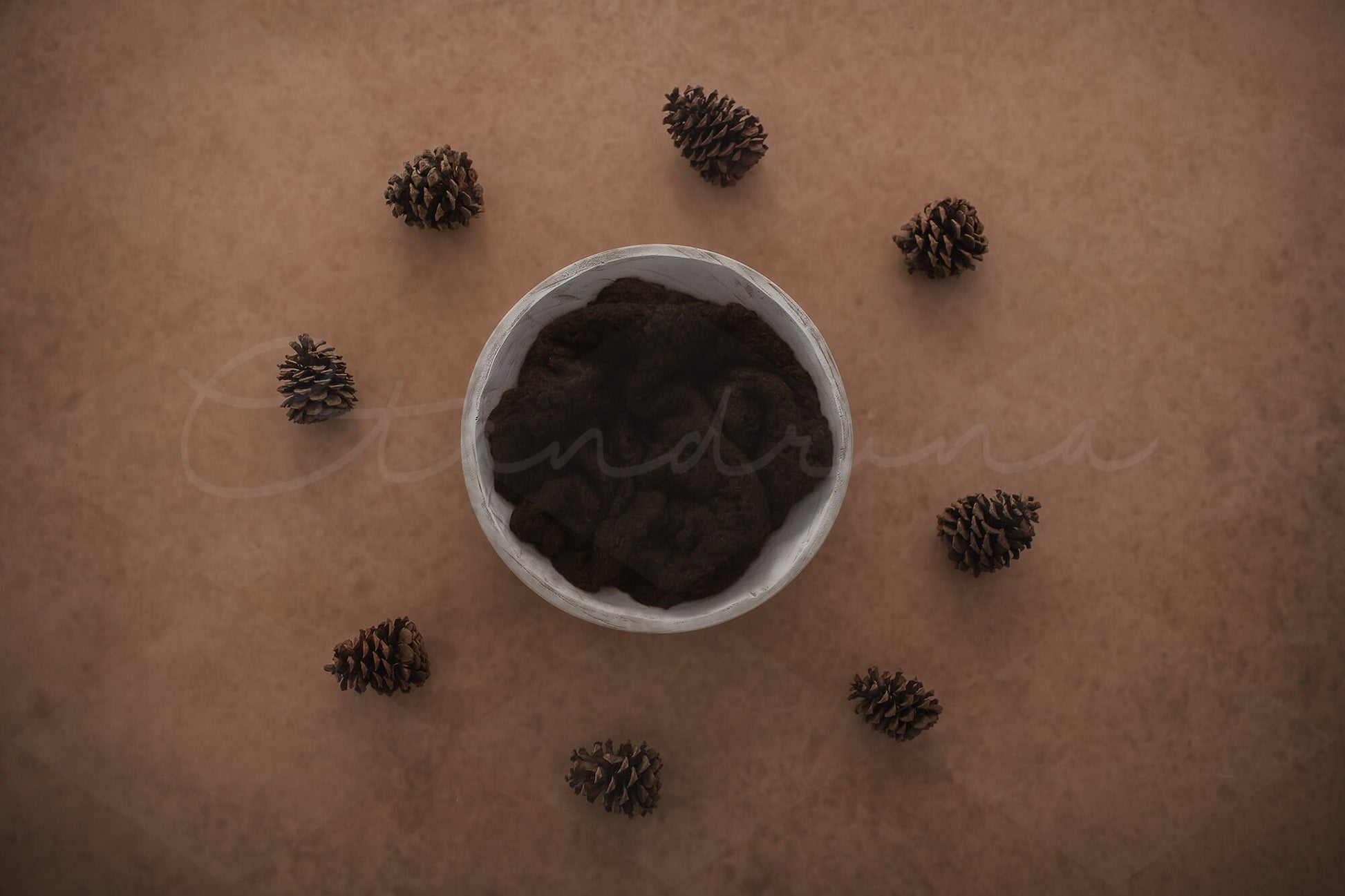 Pine cone Newborn Digital Backdrop, Thanksgiving Newborn Digital Background, Wood Bowl with Pine cones, Digital Backdrops for Photoshop