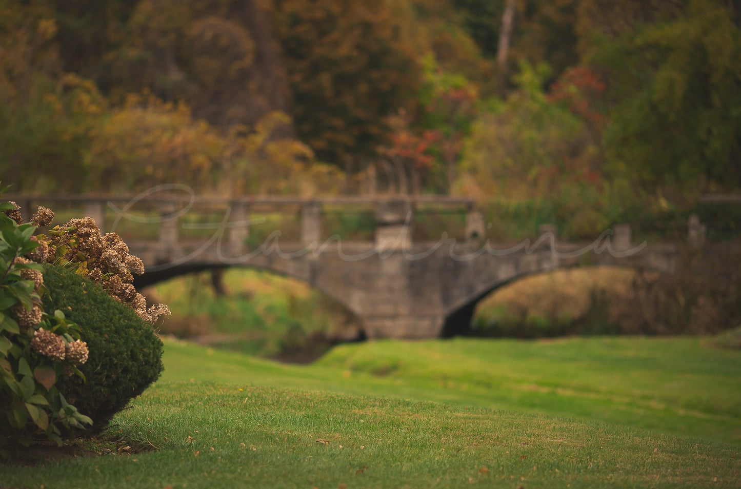 Castle Grounds Digital Backdrop, Stone Bridge Digital Background, Dreamy Backdrops, Photoshop Backdrops for Composite Portrait Photography