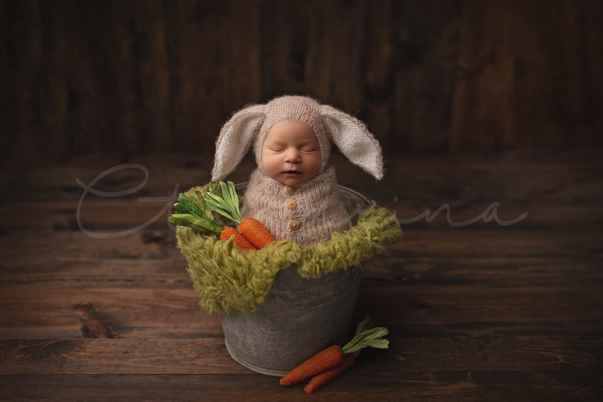 Bunny Newborn Digital Backdrop, Easter Newborn Background, Rabbit Backdrop for Babies, PNG Newborn Digital Backdrops for Photoshop