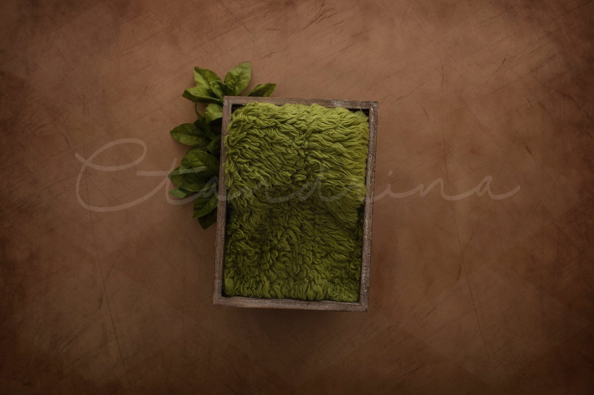 Green Leaves with Wooden Box Newborn Digital Backdrop, Nature Newborn Backdrop, Gender Neutral, Newborn Digital Backdrops for Photoshop