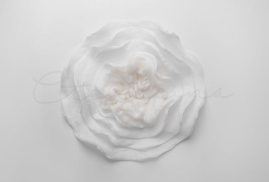 White Felt Flower Newborn Digital Backdrop, Cream and White Newborn Backdrop, Neutral Digital Background, Digital Backdrop for Photoshop