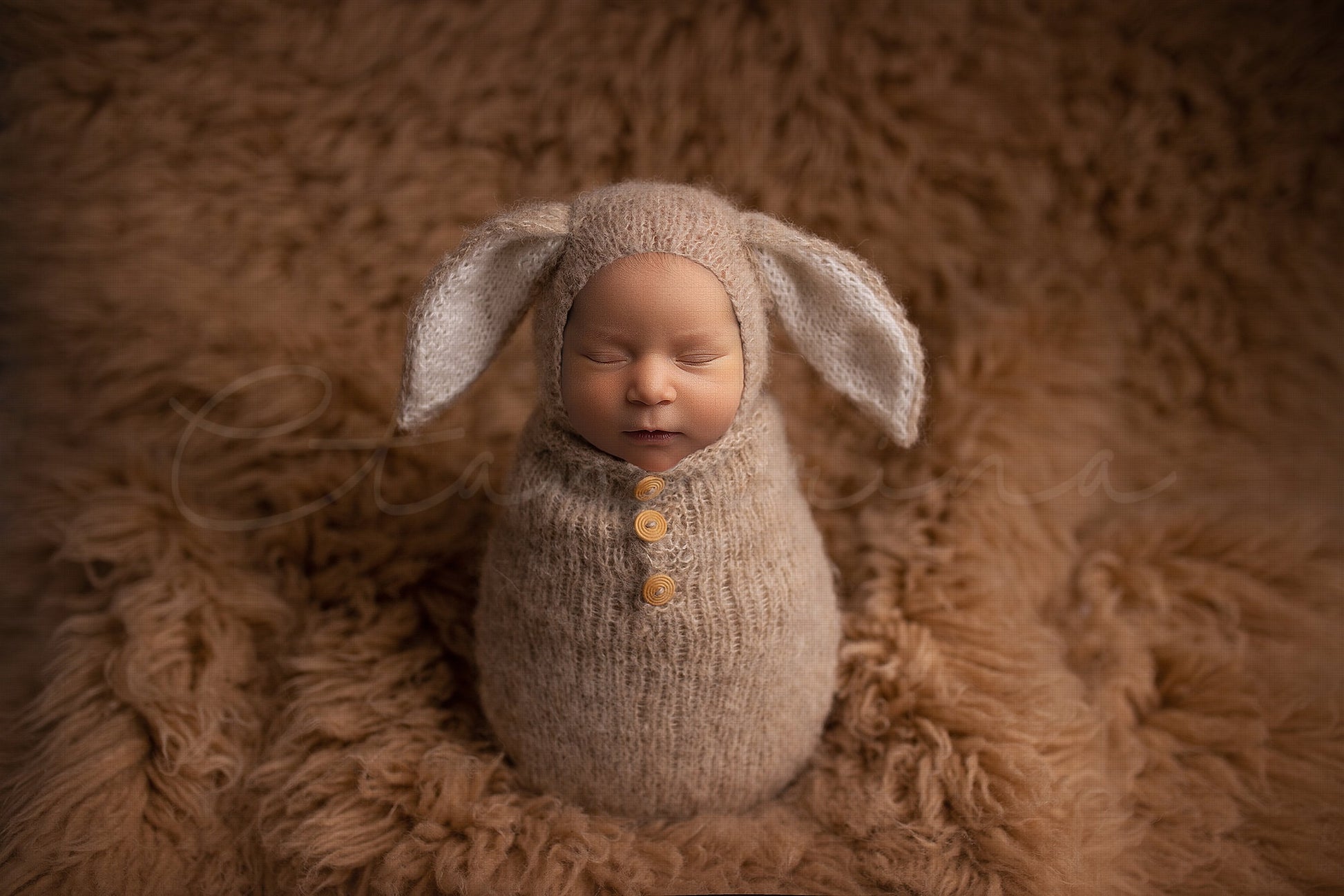 Bunny Newborn Digital Backdrop, Easter Newborn Background, Rabbit Backdrop for Babies, PNG Newborn Digital Backdrops for Photoshop