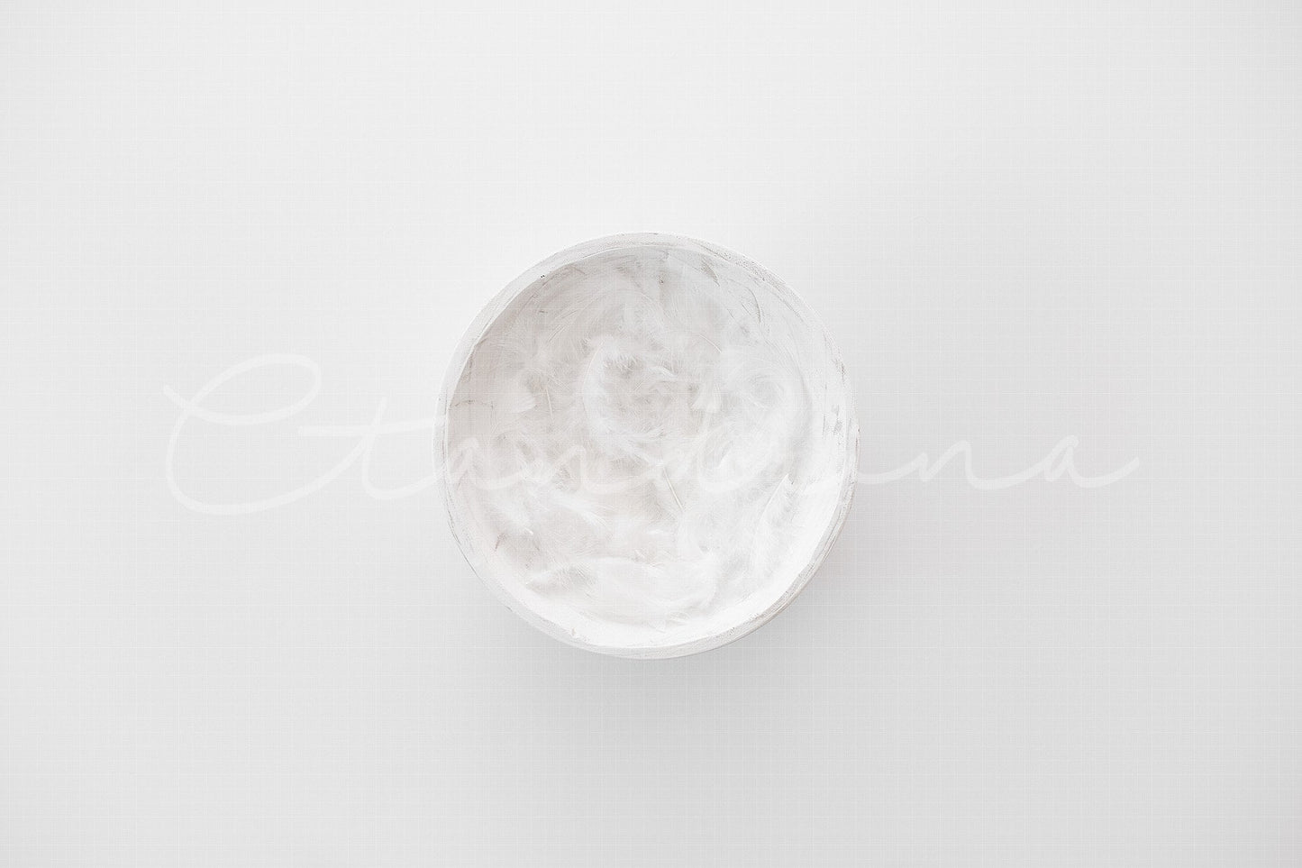 White Feather Newborn Digital Backdrop, Newborn Background for Photoshop with White Wood Carved Bowl and White Feathers, Bright and Clean