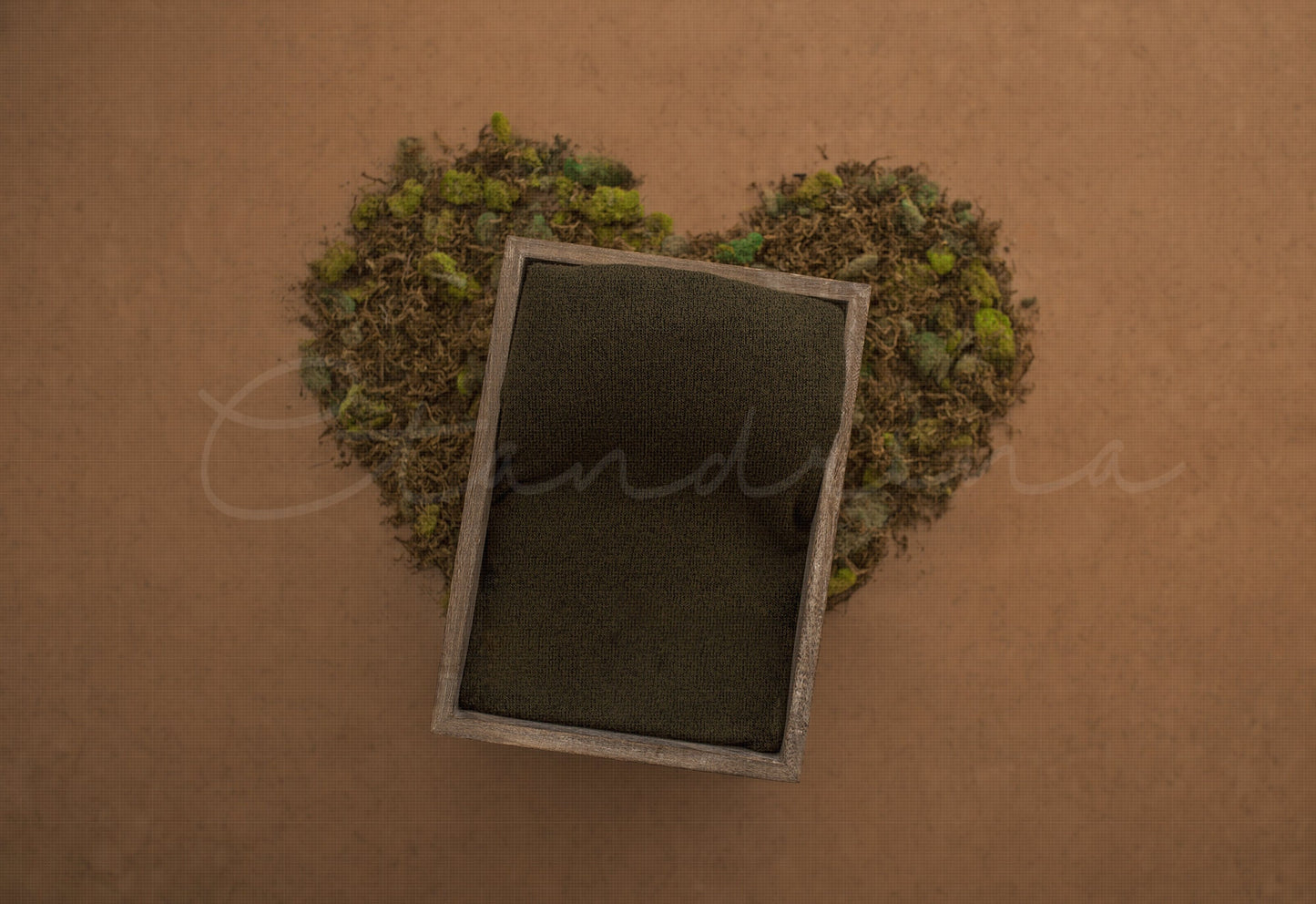 Green Moss Heart with Wooden Box Newborn Digital Backdrop, Nature Newborn Backdrop, Gender Neutral, Newborn Digital Backdrops for Photoshop