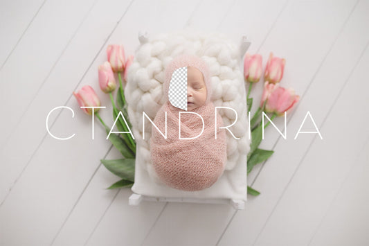 Spring Newborn Digital Backdrop, Pink Tulips Newborn Digital Background, PNG Floral Baby Backdrop, White and Pink Backdrop for Photoshop