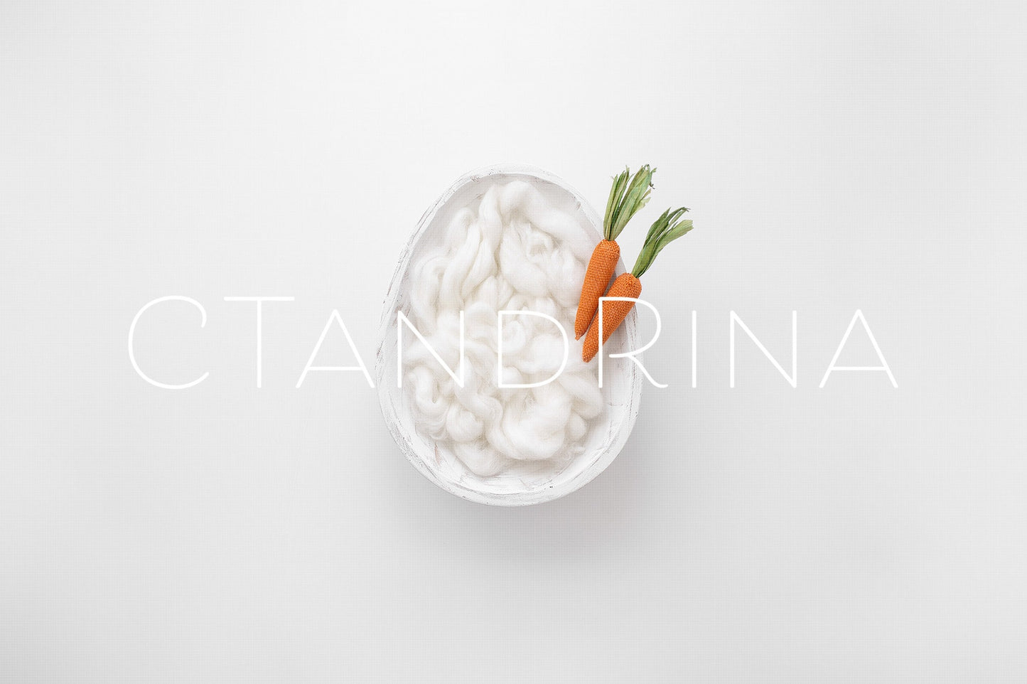 White Egg Newborn Digital Backdrop, Easter Newborn Background for Photoshop with White Wood Carved Bowl and White Wool Fluff and Carrots