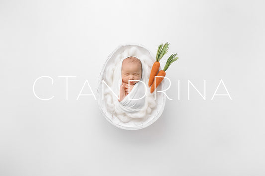 White Egg Newborn Digital Backdrop, Easter Newborn Background for Photoshop with White Wood Carved Bowl and White Wool Fluff and Carrots