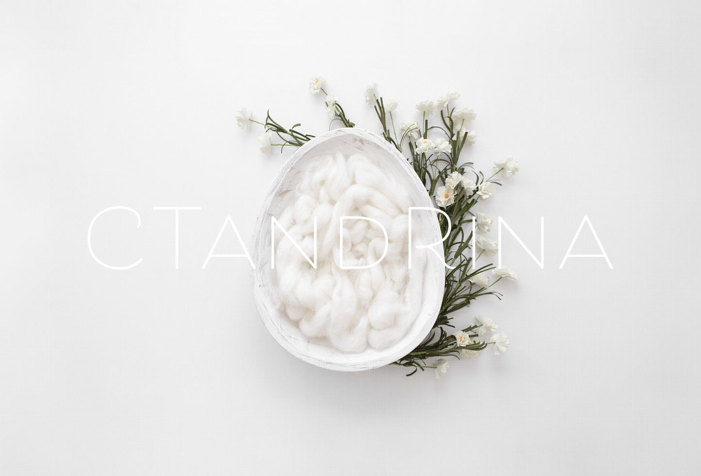 White Egg Newborn Digital Backdrop, Easter Newborn Background for Photoshop with White Wood Carved Bowl and White Wool Fluff and Flowers