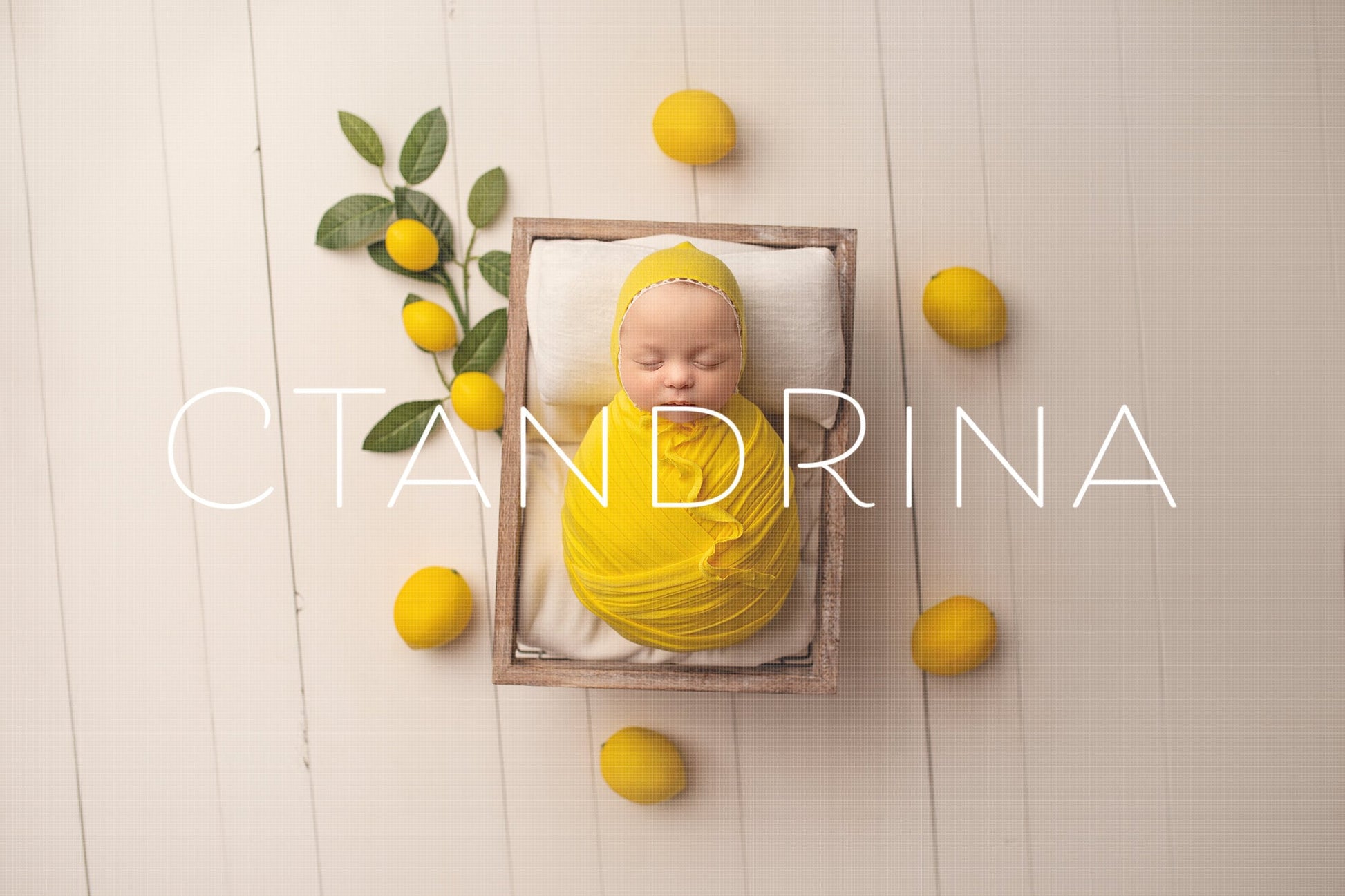 Lemon Newborn Digital Backdrop, Lemon Themed Newborn Digital Background, Citrus Background, Summer Newborn Digital Backdrops for Photoshop