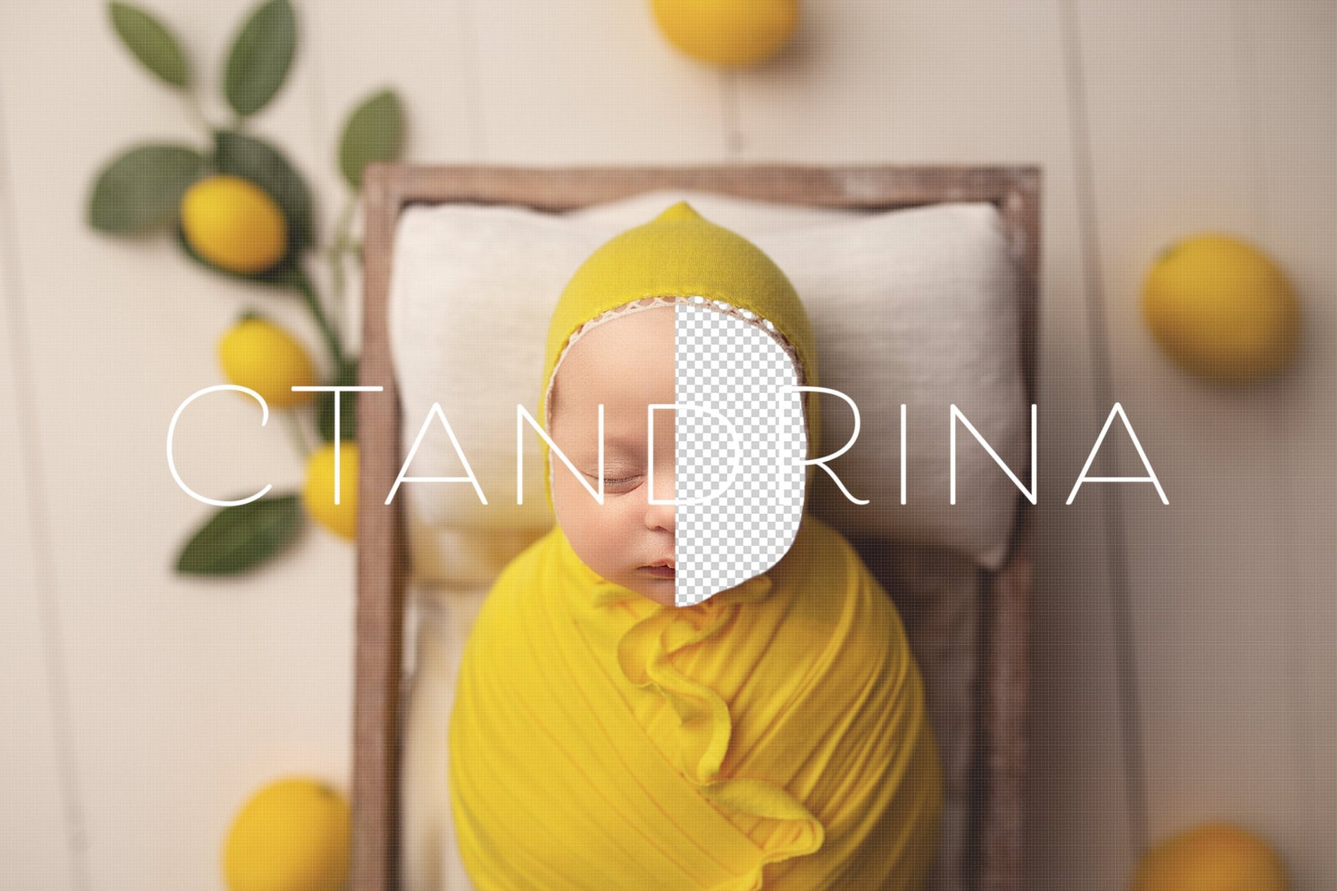 Lemon Newborn Digital Backdrop, Lemon Themed Newborn Digital Background, Citrus Background, Summer Newborn Digital Backdrops for Photoshop