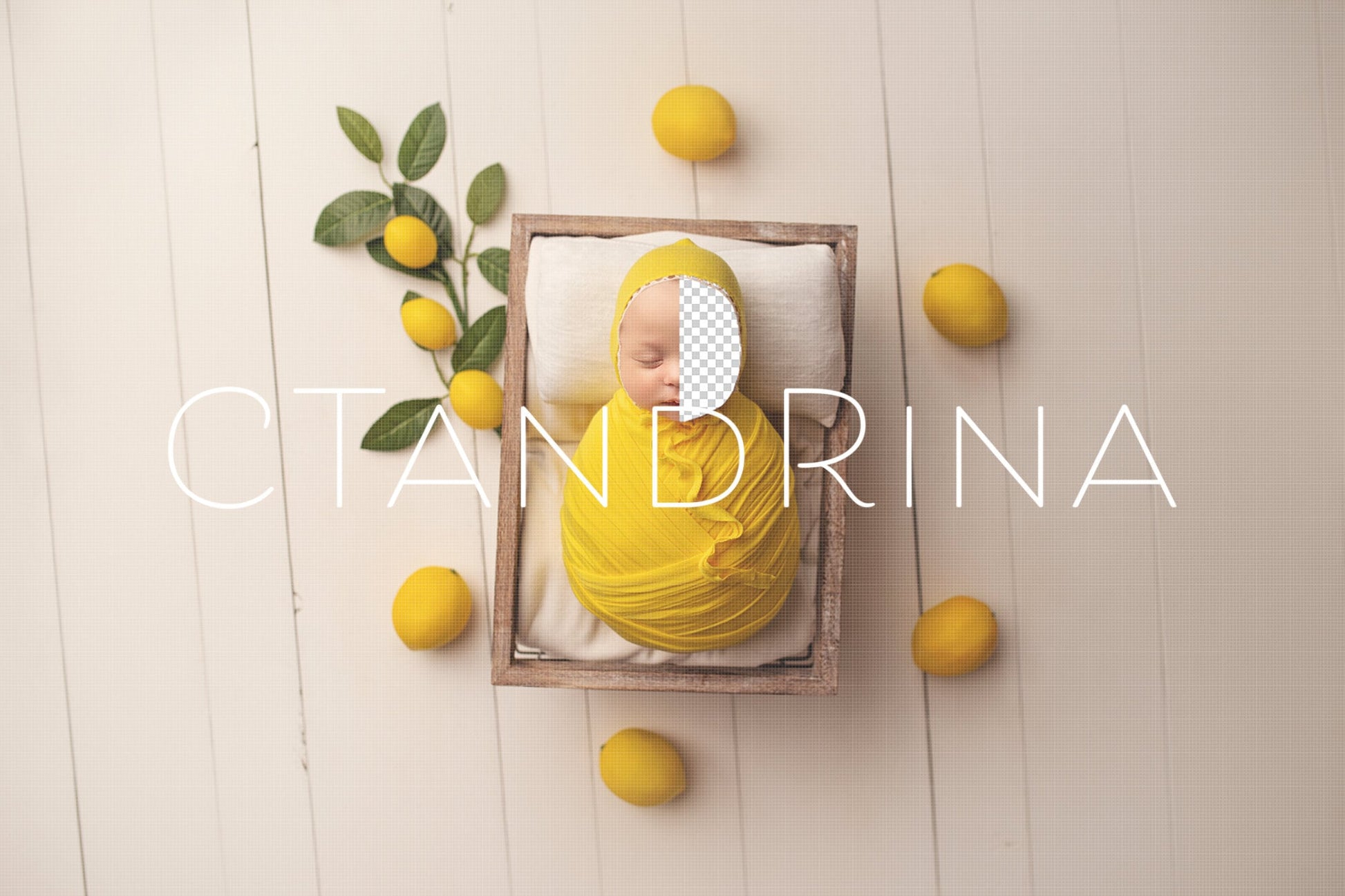 Lemon Newborn Digital Backdrop, Lemon Themed Newborn Digital Background, Citrus Background, Summer Newborn Digital Backdrops for Photoshop