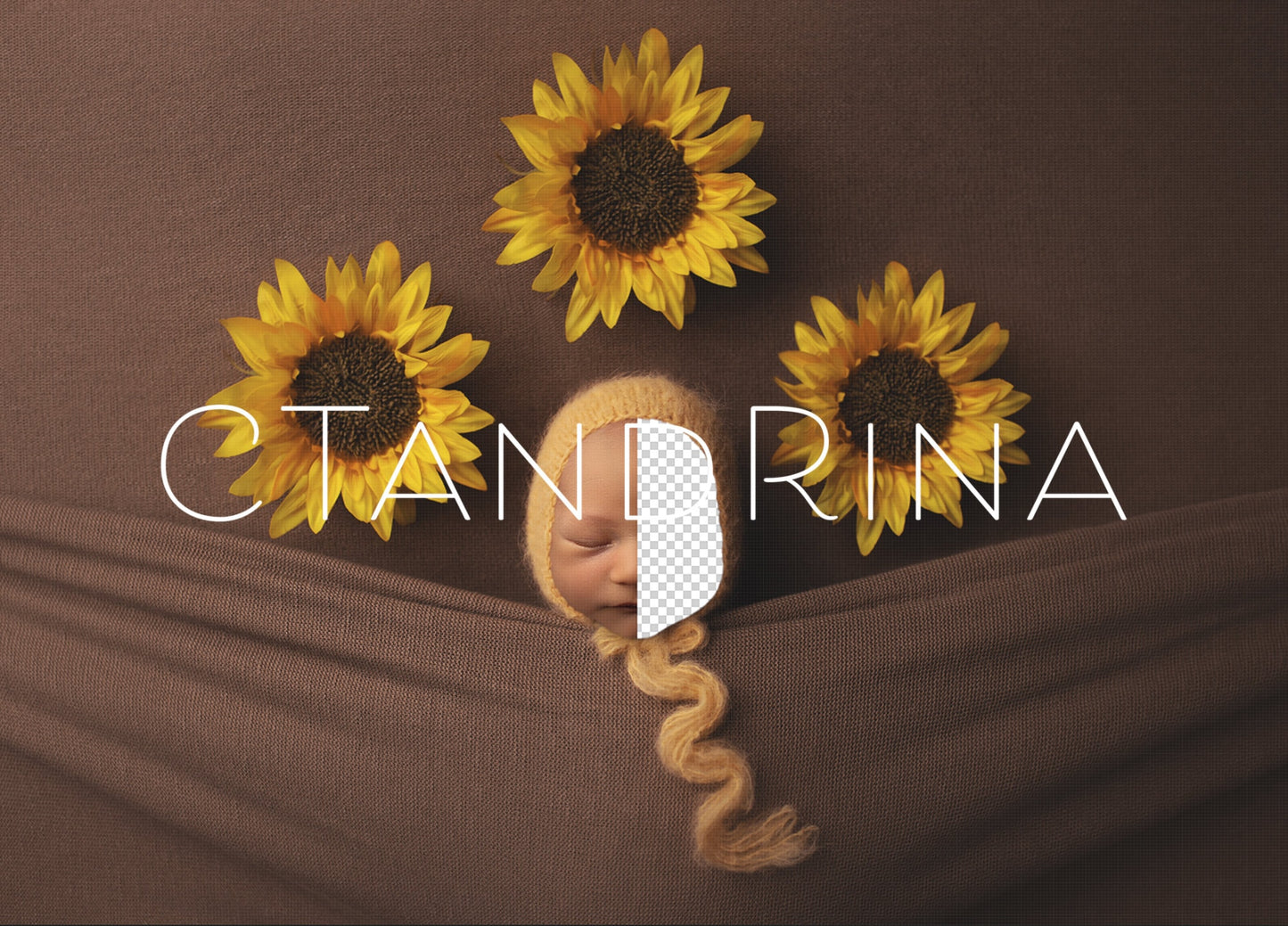 Sunflower Newborn Digital Backdrop, Under the Covers Newborn Digital Background, PNG Replace the Face Baby Digital Background for Photoshop