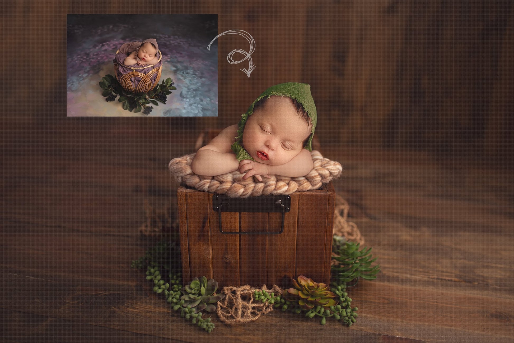 Newborn Digital Backdrop, Succulent Newborn Digital Background, Neutral Newborn Baby Backdrops, Real Wood Backdrops, Photoshop Backdrops