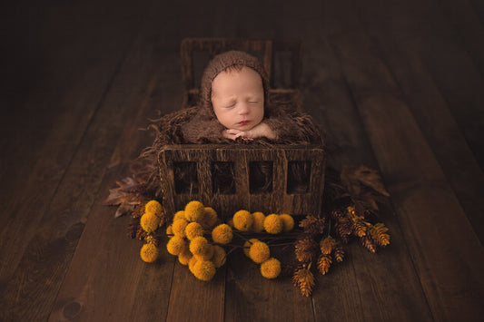 Fall Newborn Digital Backdrop, Newborn Digital Backdrops for Fall and Autumn, Real Wood Backdrop with Fall Foliage Baby Photoshop Backdrop